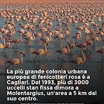 Carino Splendido Trivano Panoramico Iun S3308 *