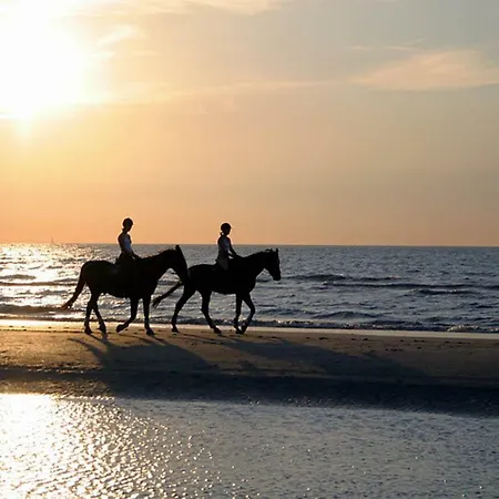 Appartement Carino Splendido Trivano Panoramico Iun S3308