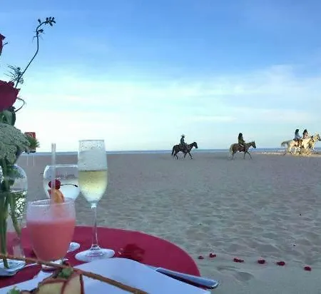 Carino Splendido Trivano Panoramico Iun S3308 Quartucciu