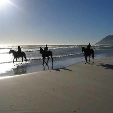 Appartement Carino Splendido Trivano Panoramico Iun S3308 *